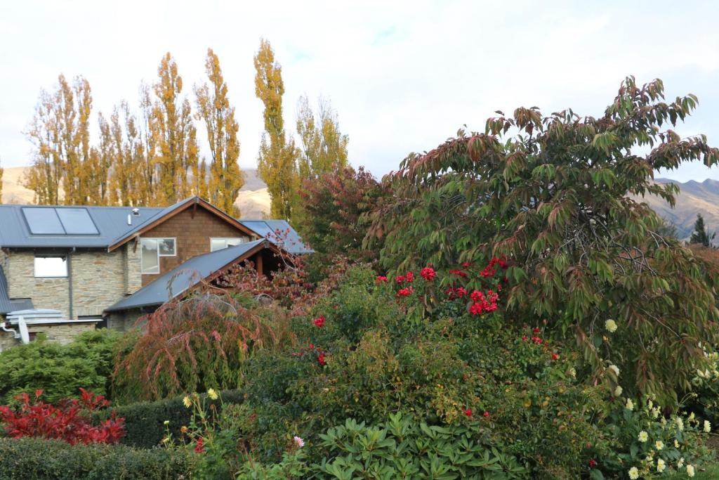 Golfcourse Road Chalets and Lodge photo 2