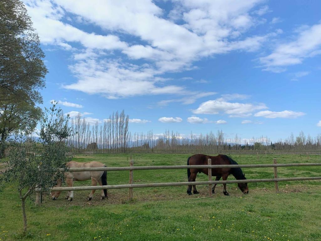 Domaine Castell de Blés photo 1