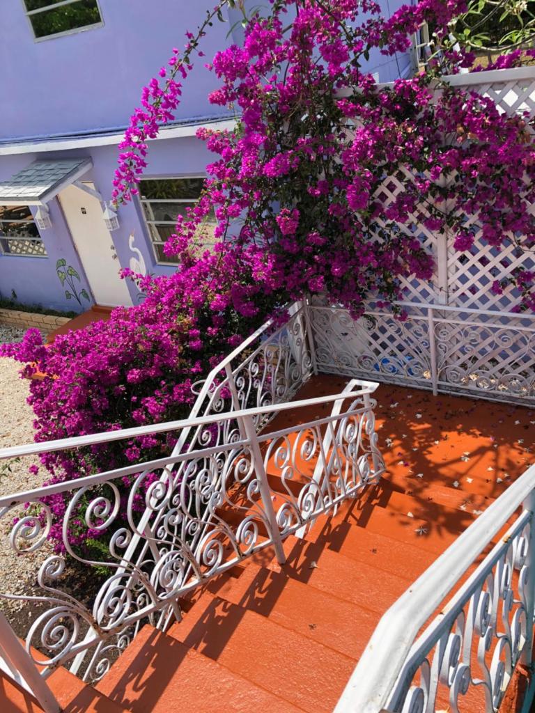 The Pelican Key Largo Cottages photo 1