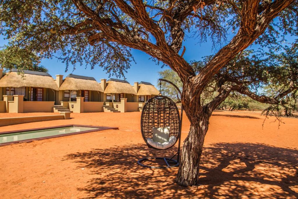 Zebra Kalahari Lodge photo 3