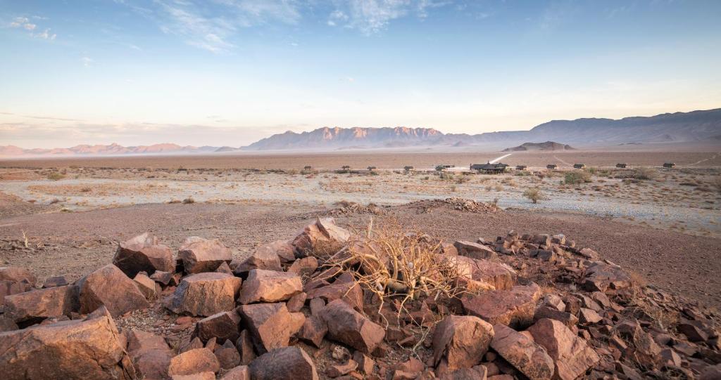 Hoodia Desert Lodge photo 4