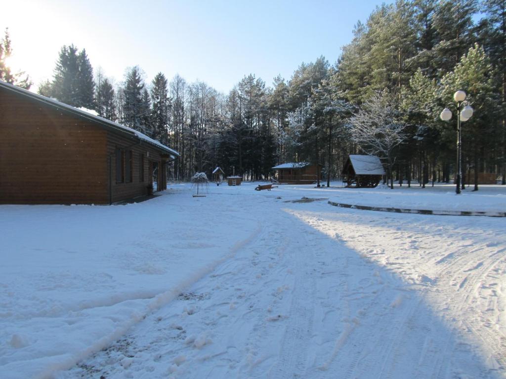 Vanago Lizdas photo 3
