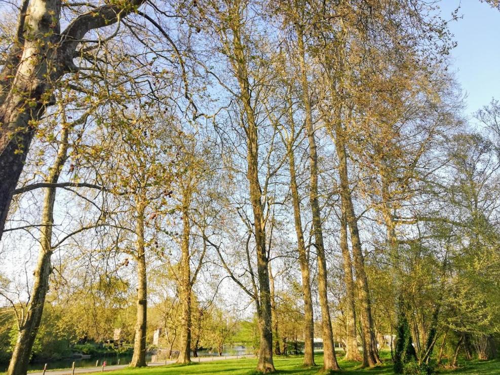 Le Domaine Des Platanes photo 2