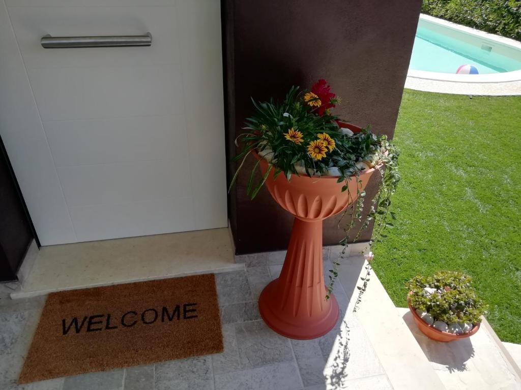 Alba Marina Rooms photo 3