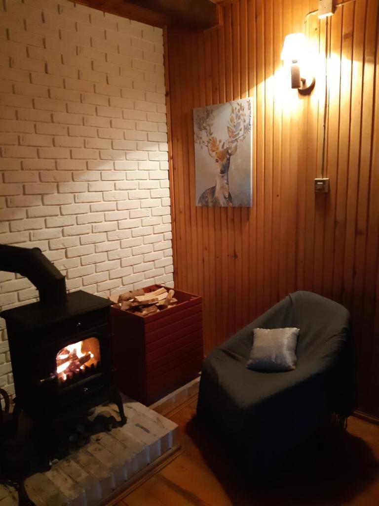 Leśna Polana photo 3