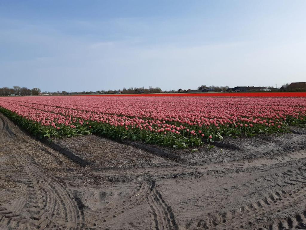 Groot familiehuis voor 6 personen in landelijke, rustige omgeving photo 2