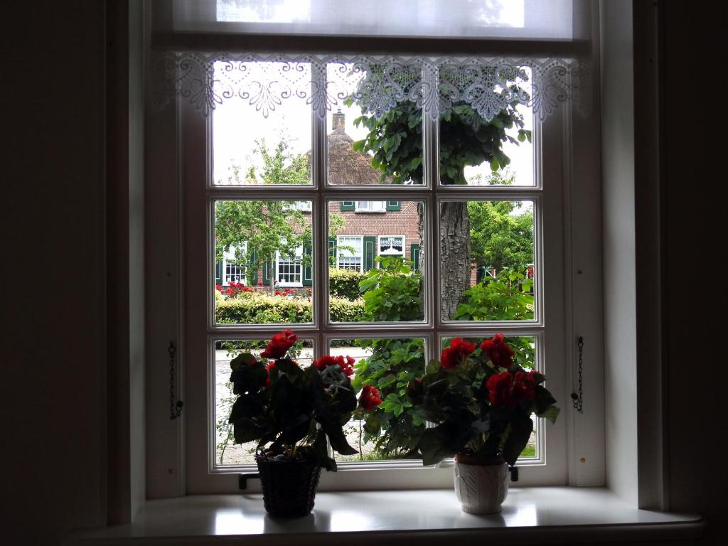 Vakantiehuis An Diek photo 4