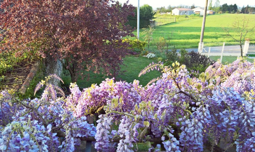 Les Glycines Bed & Breakfast photo 1