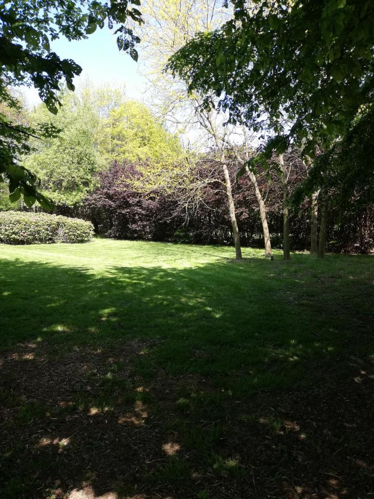 Nuvola East photo 4