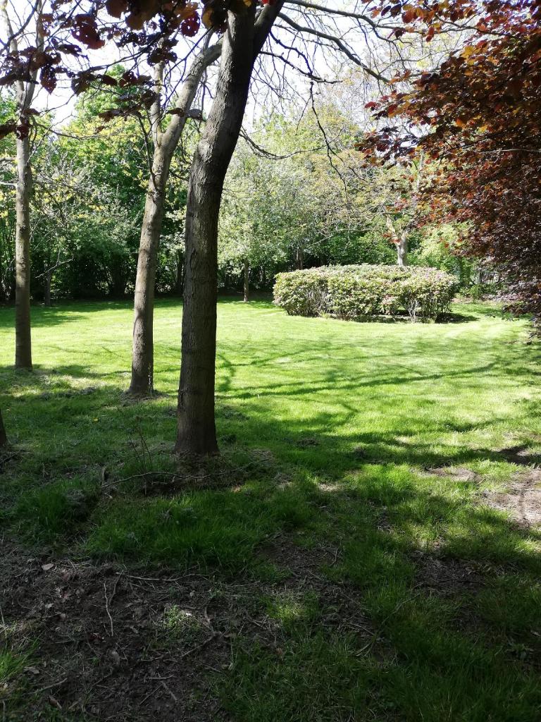 Nuvola East photo 3
