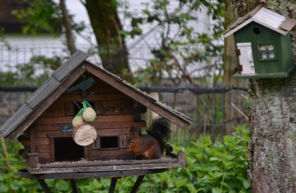 A la ferme du Pere Eugene photo 1