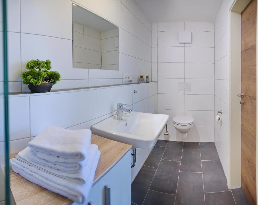Boardinghouse Jungwirth-Wohnzeit photo 1