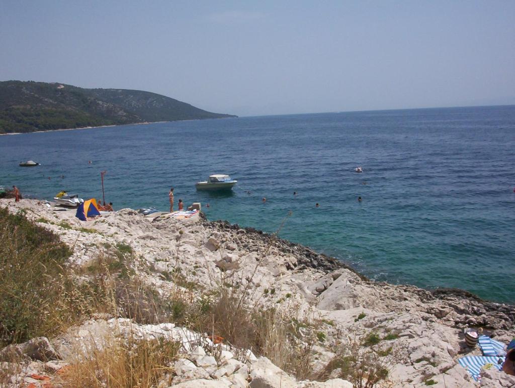 Villa Damjan photo 2