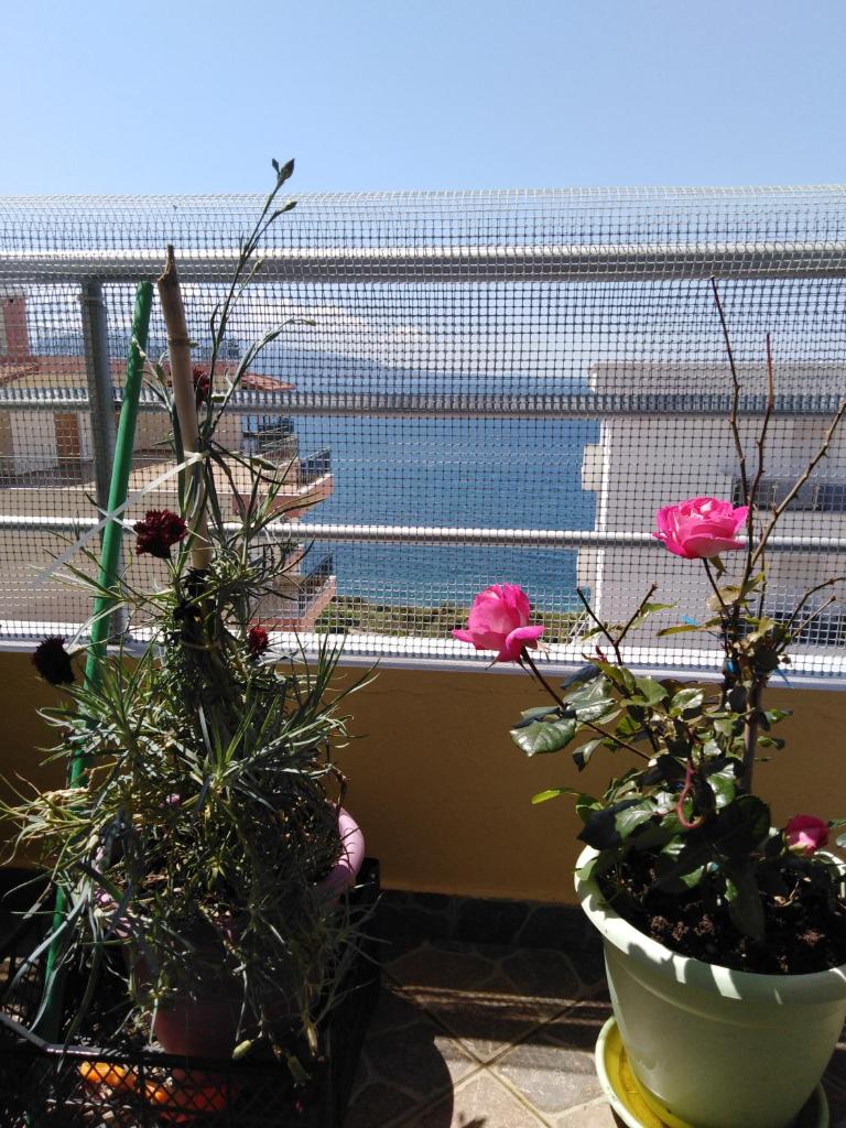 DOWN TOWN LUXURY Apartment photo 1