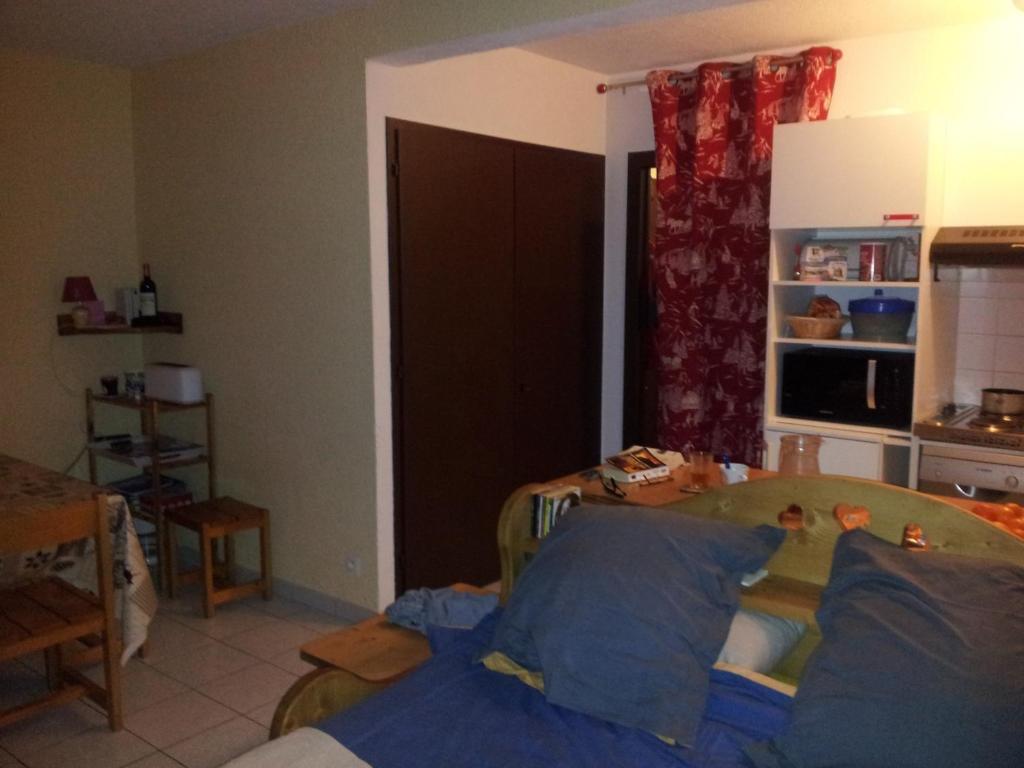 Appartement les Carroz d'Arraches photo 3