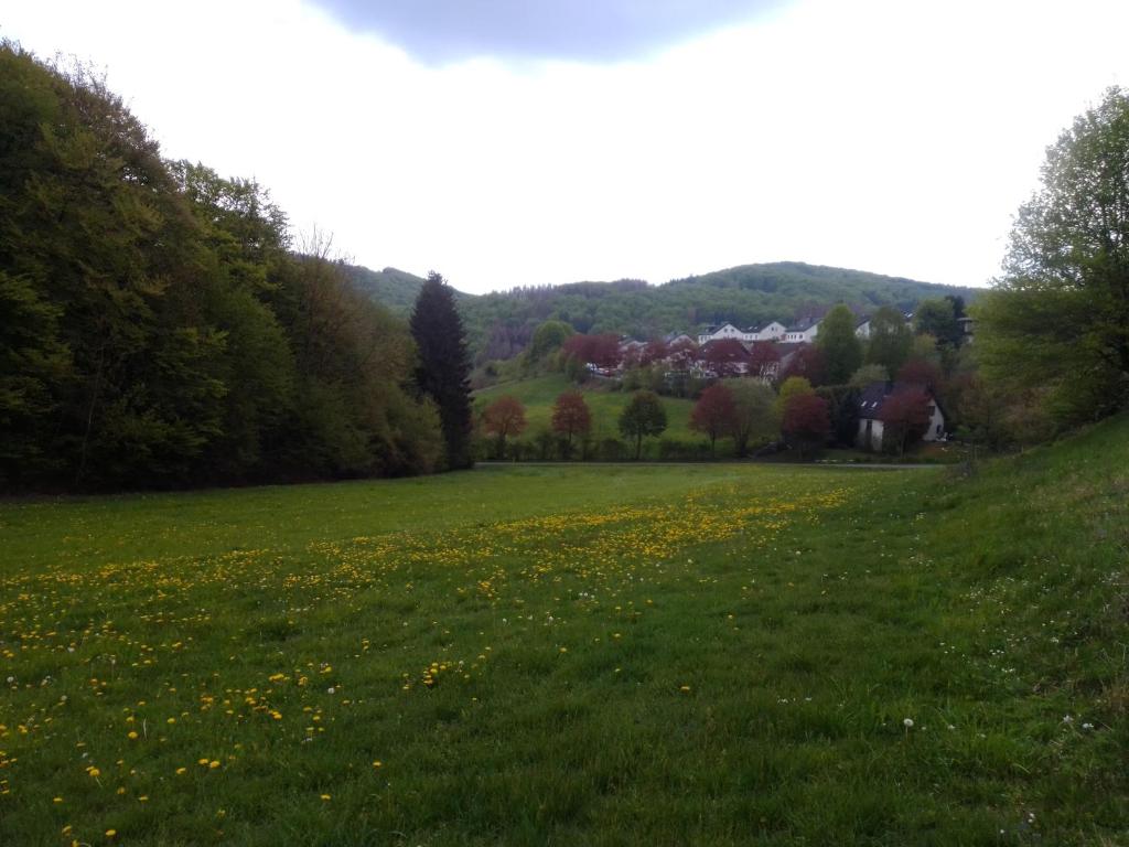 Lavender Hill photo 2