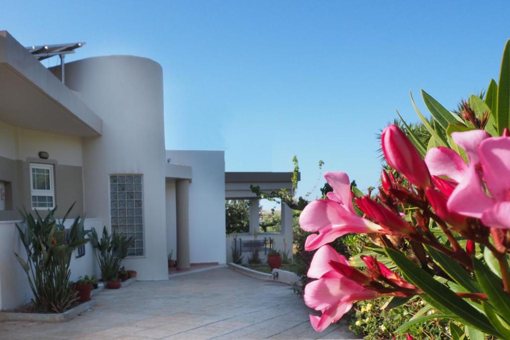 Olive House photo 2