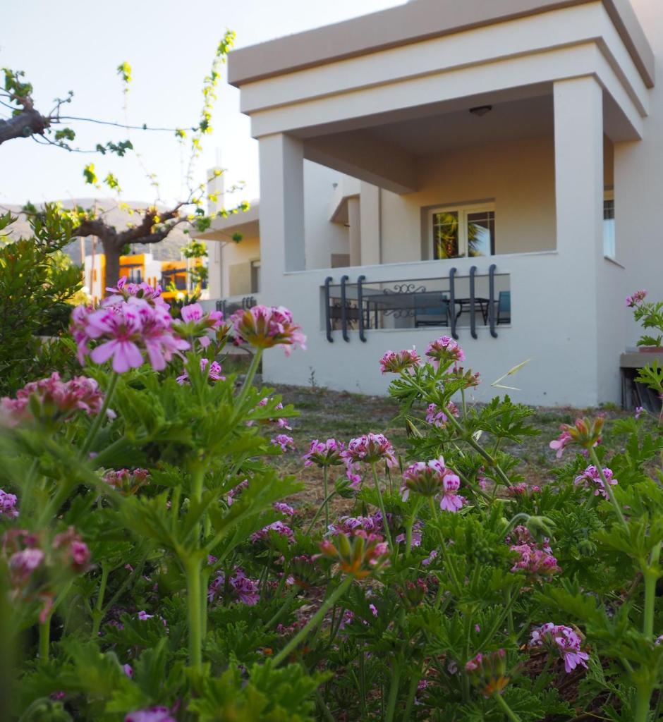 Olive House photo 1