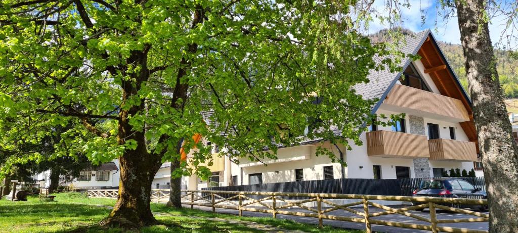 Vila Mojca Apartments Jasna & Jelka photo 1
