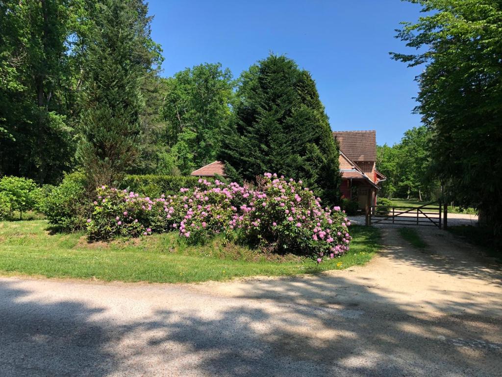 Maison canadienne photo 1