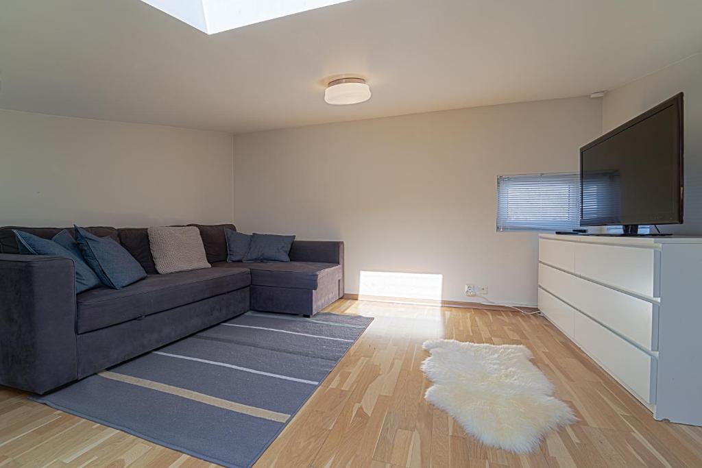 Three-Bedroom Apartment photo 2