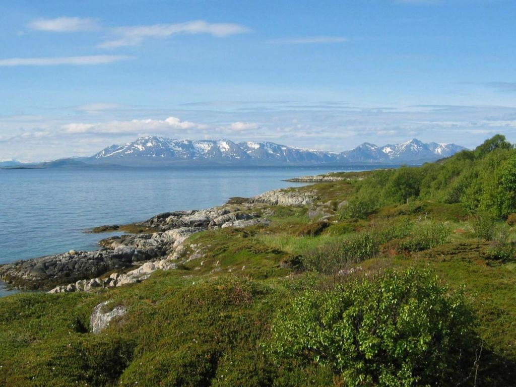 7 person holiday home in Stonglandseidet photo 3