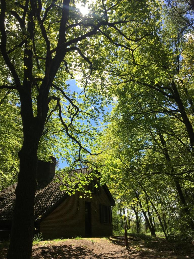 't Aarthuis photo 2