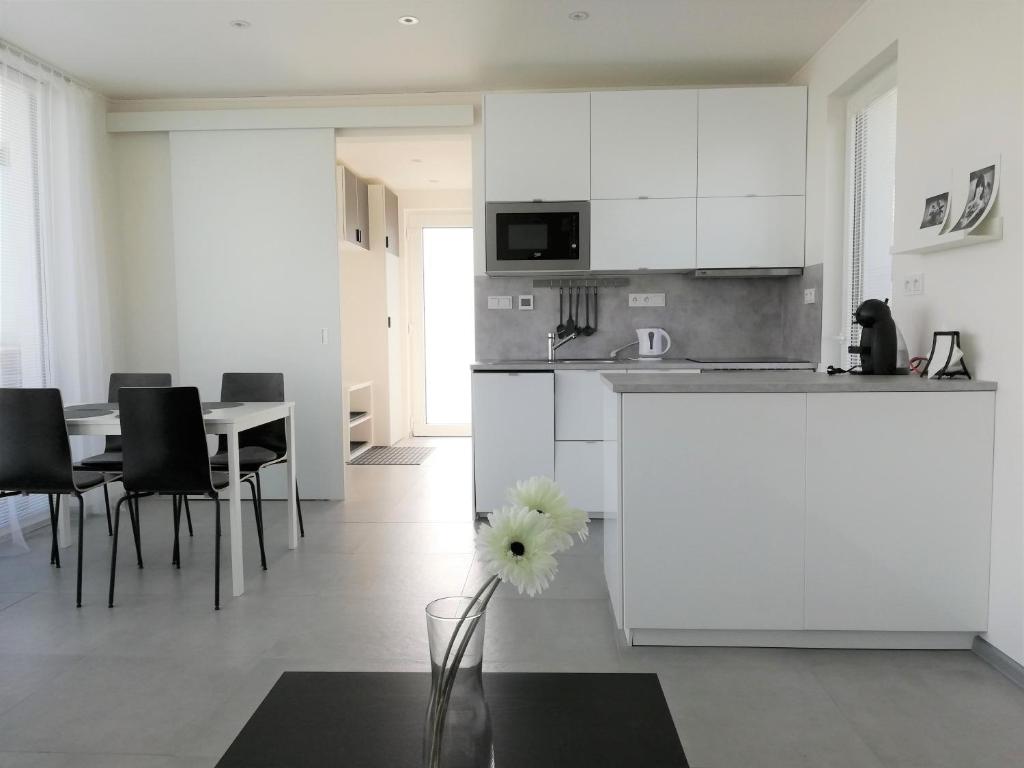 Apartmán Polička photo 1