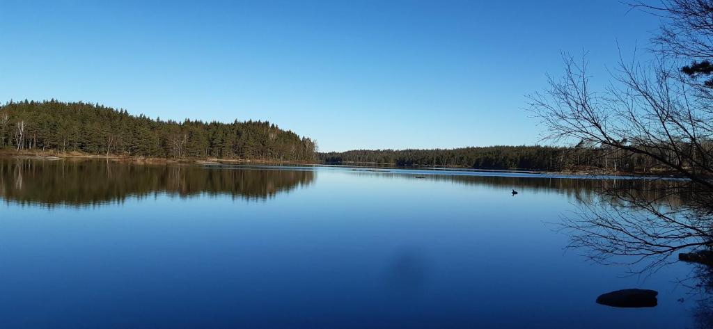 Comfortable Cottage at Scenic Lake photo 2