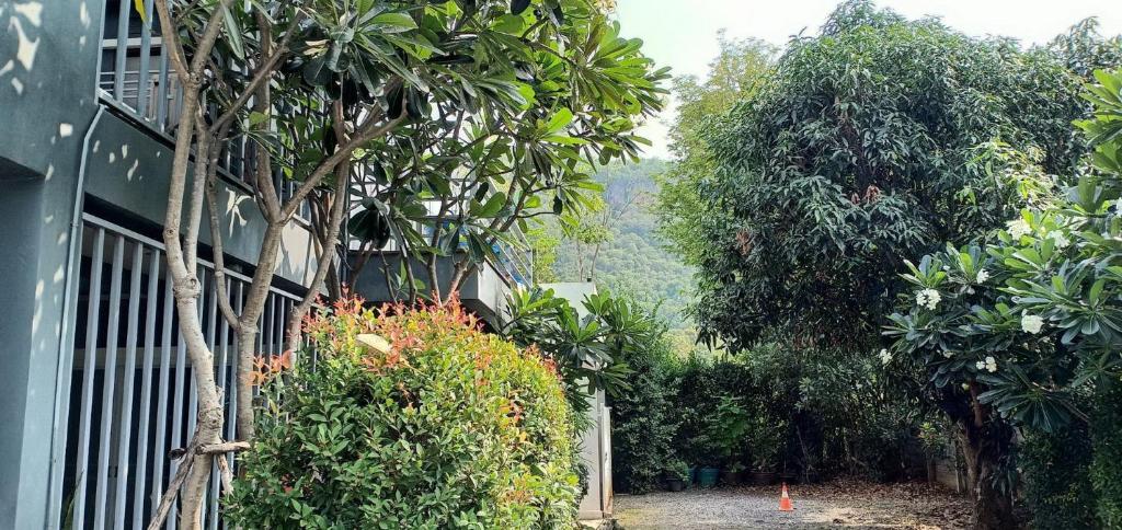 One of the Best View at Khao Yai 1-4 bed price increased for every 2 persons photo 2