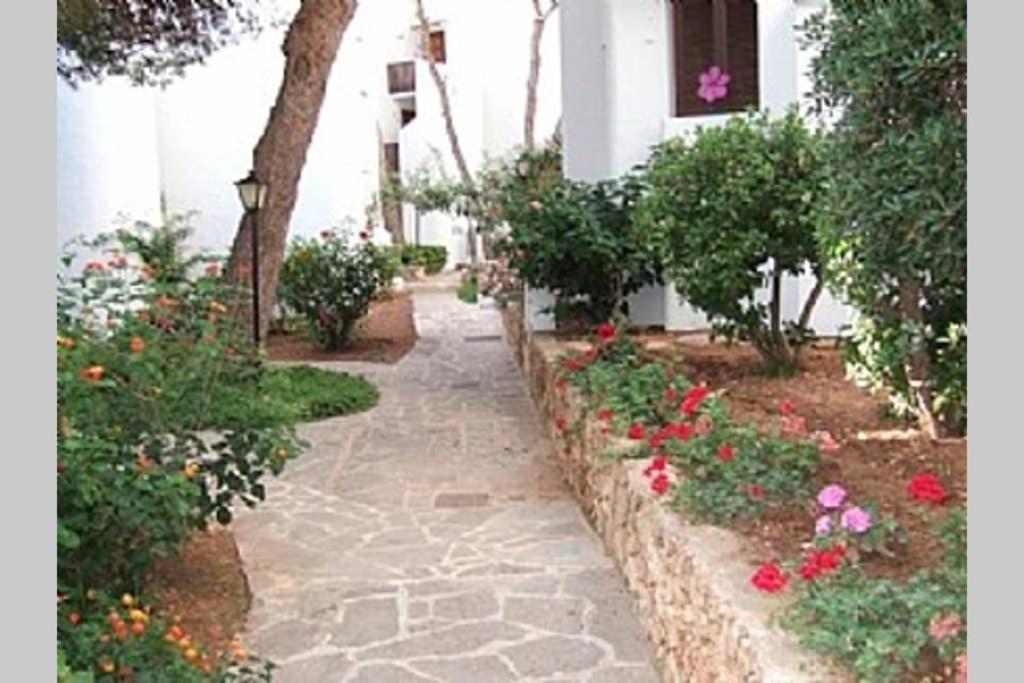 Sea frontline Apartment 'Charo' Pool and Wifi photo 1