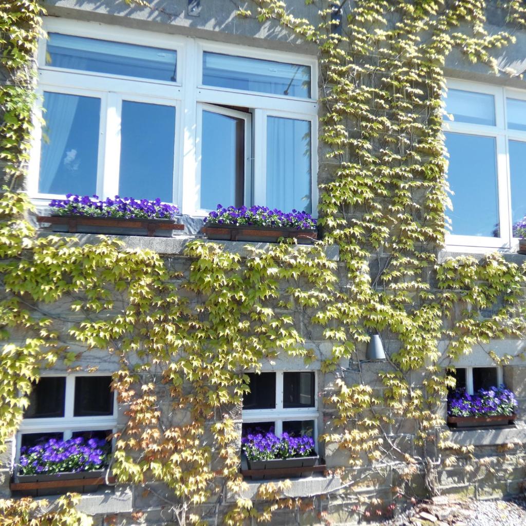 Gite ancienne Imprimerie photo 2