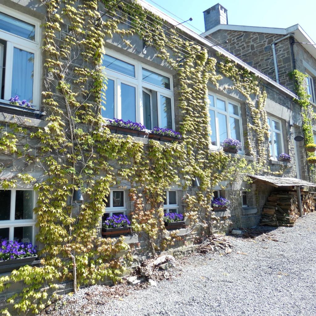 Gite ancienne Imprimerie photo 1