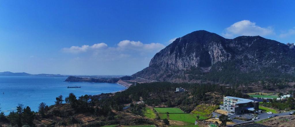 Y Resort Jeju photo 3