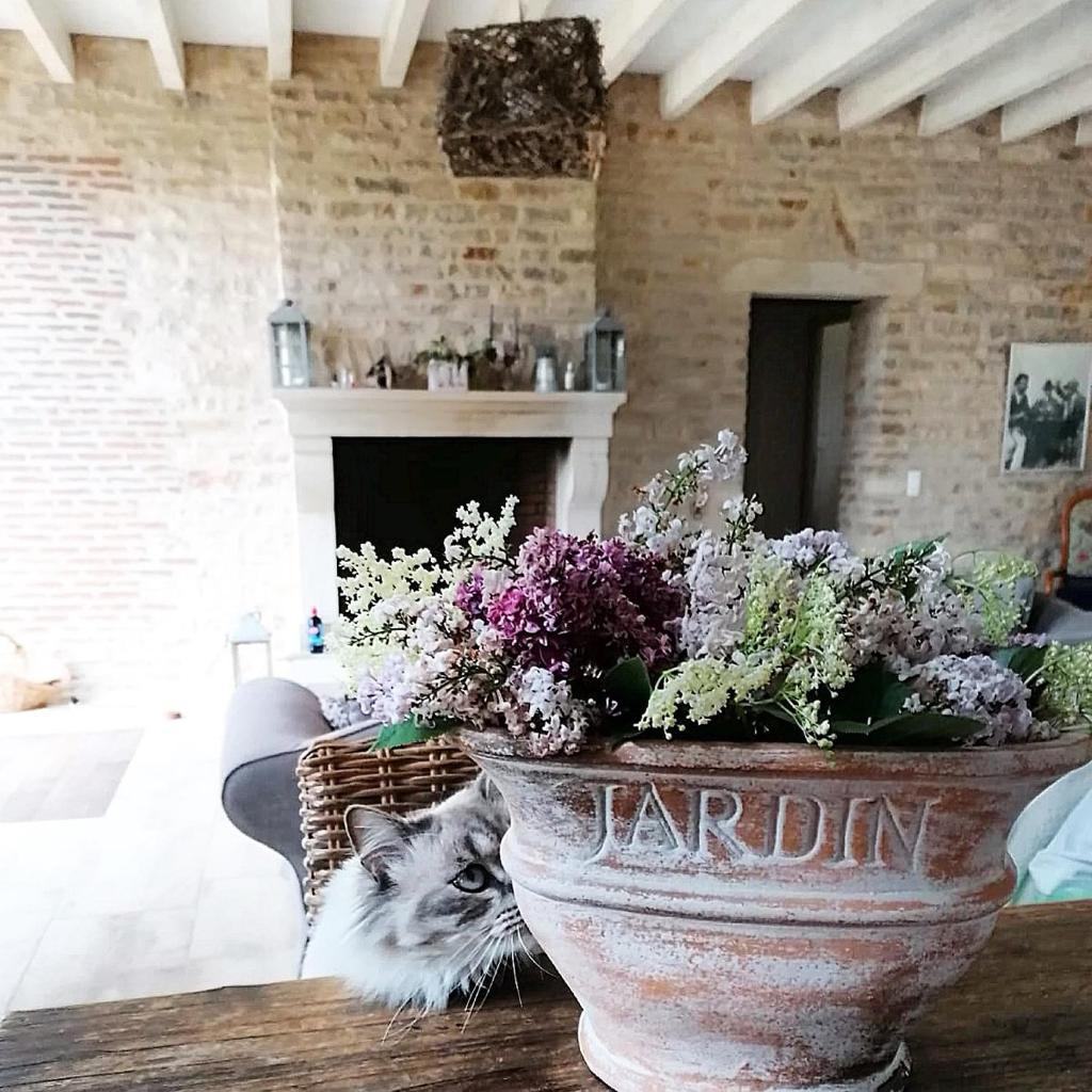 Gîte La Maison De Lucien photo 2