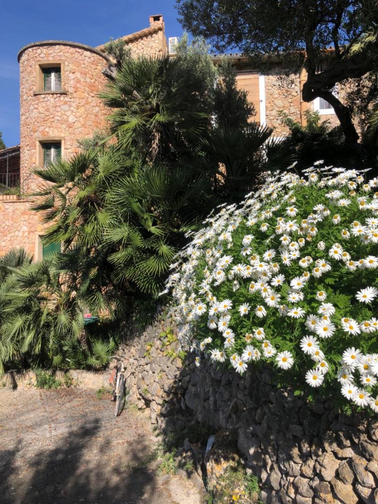 Sa Plana Petit Hotel photo 2