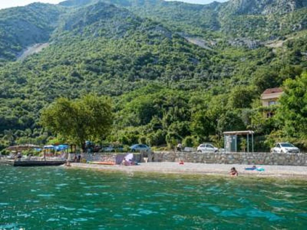 Apartmani Villa Radovic photo 4