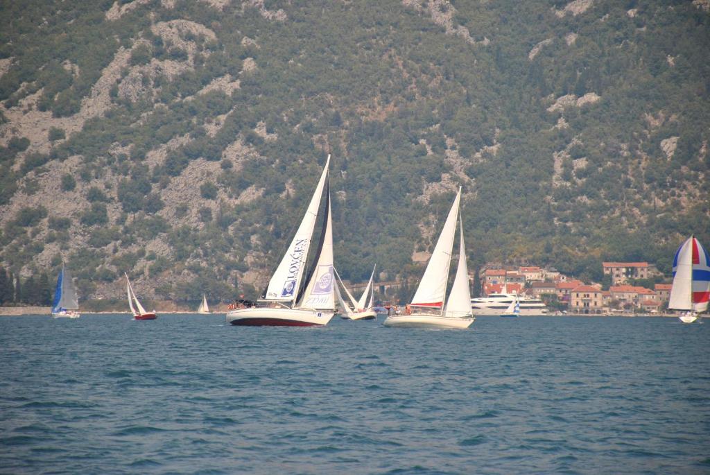 Apartmani Villa Radovic photo 3