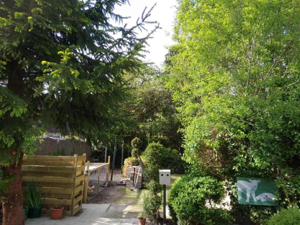 Bed & Breakfast Zuidlaren photo 4