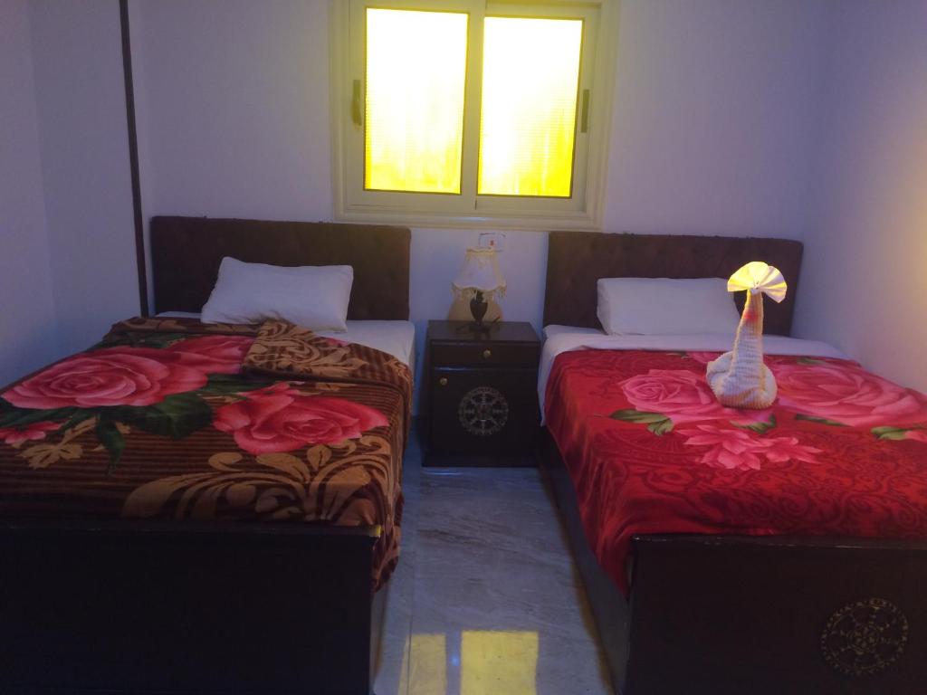 Lady Queen Apartment photo 2