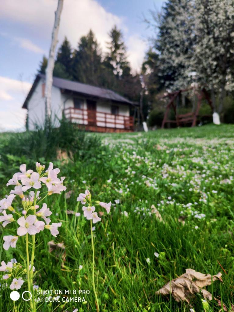 Domek na Wierchach photo 2