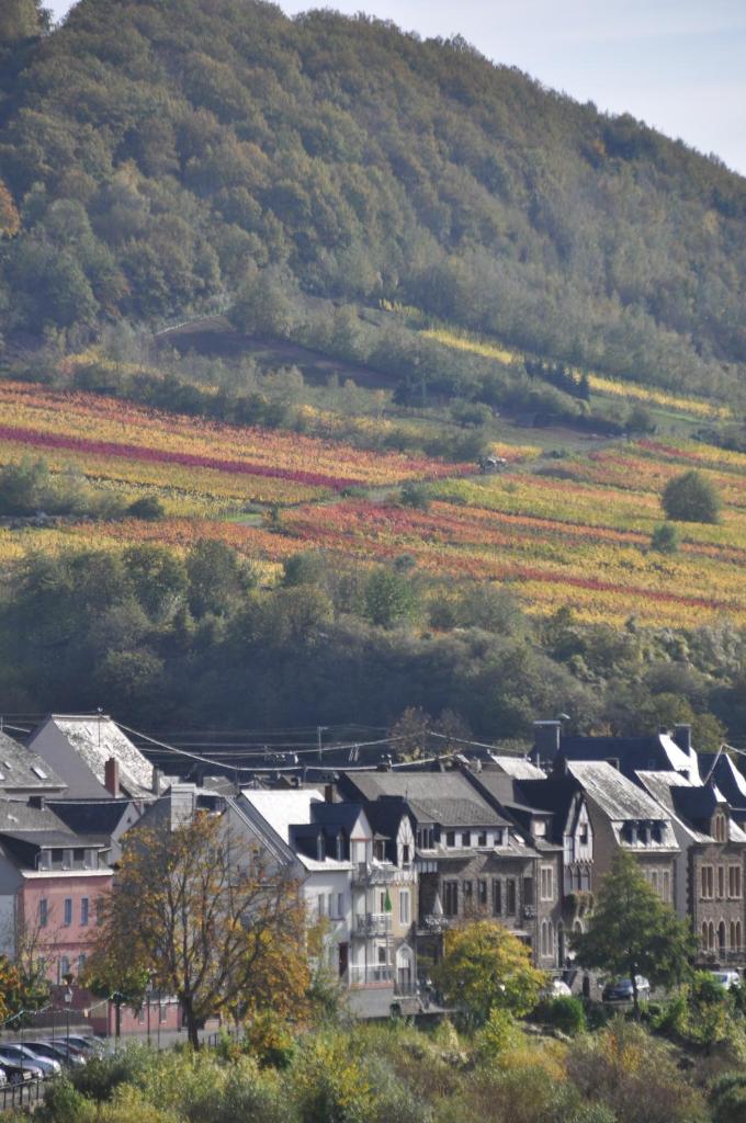 Gästezimmer im Weingut Amlinger&Sohn photo 4