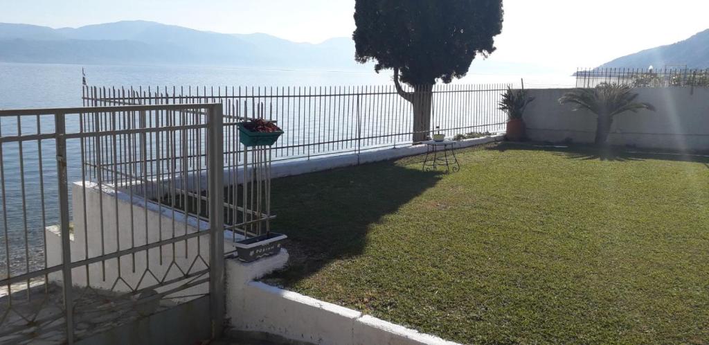 Holiday house on the beach photo 2