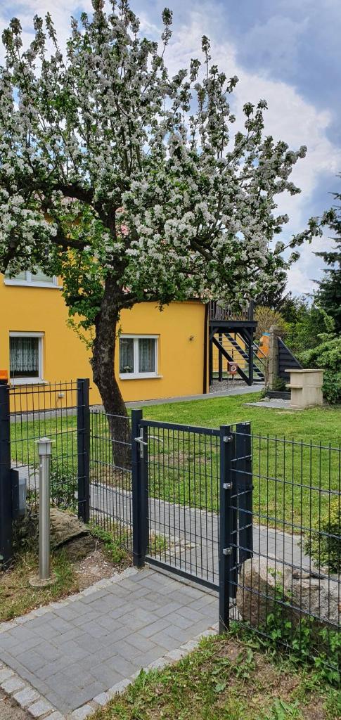 Ferienwohnung Gleißner photo 3