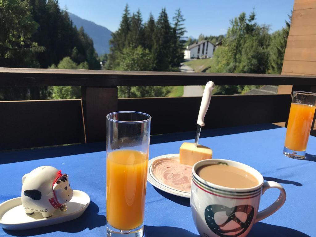 Ferienwohnung Laax mit Traumblick, großem Balkon und Terrasse photo 2