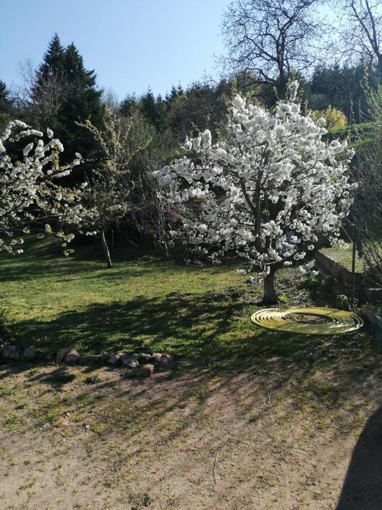 La Posada photo 1