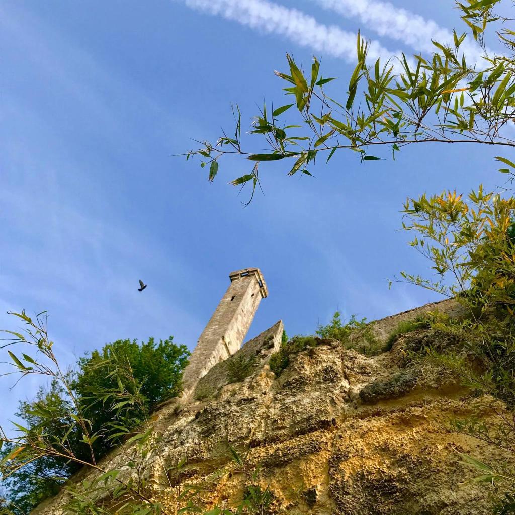 Le Gite de la Loire photo 3
