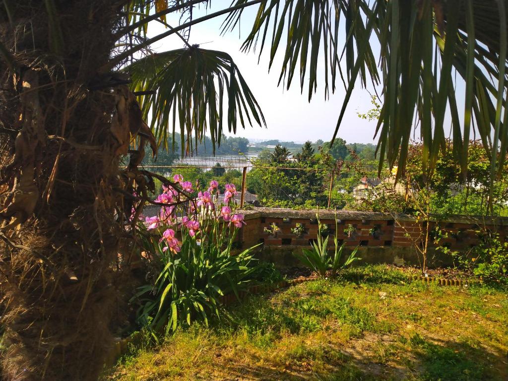 Le Gite de la Loire photo 2