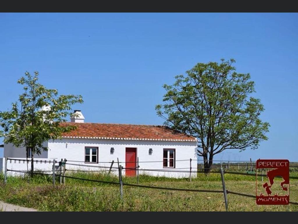 Monte da Boavista - Country family house photo 3