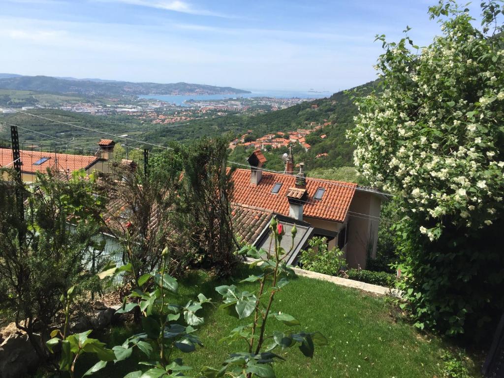 Su da noi photo 1